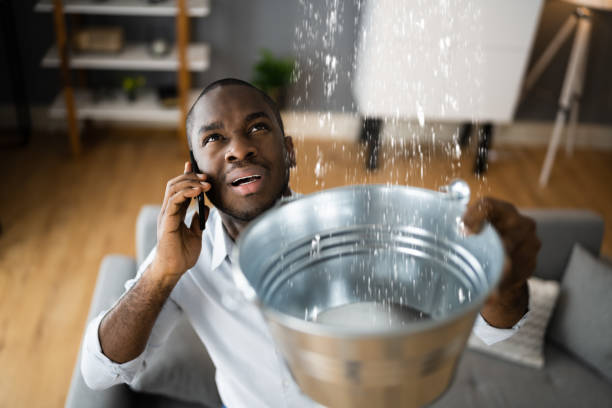  Gifford, FL Water damage restoration Pros