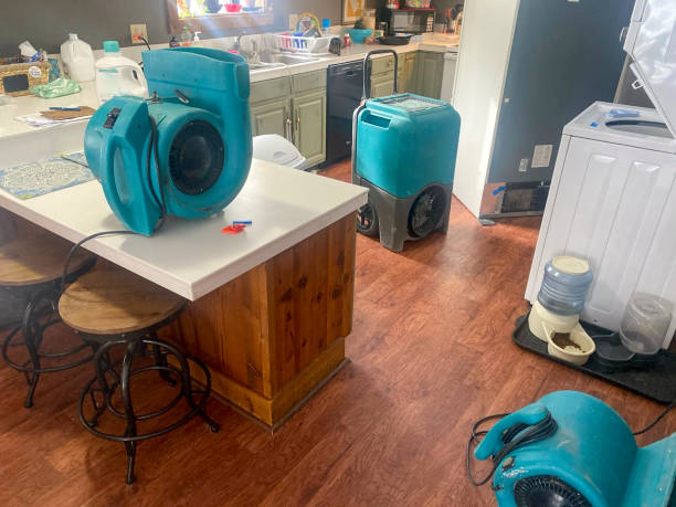Trusted Gifford, FL Water damage restoration Experts
