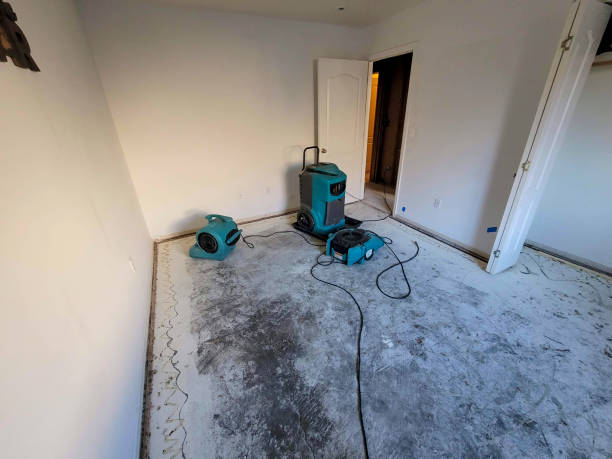 Best Emergency water extraction  in Gifford, FL