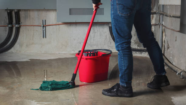 Best Flood restoration services  in Gifford, FL