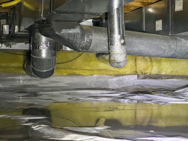 Best Carpet water damage restoration  in Gifford, FL