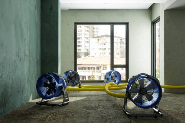 Best Water damage restoration insurance claims  in Gifford, FL